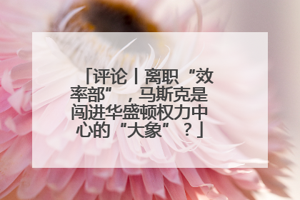 评论丨离职“效率部”，马斯克是闯进华盛顿权力中心的“大象”？