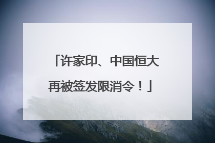 许家印、中国恒大再被签发限消令！