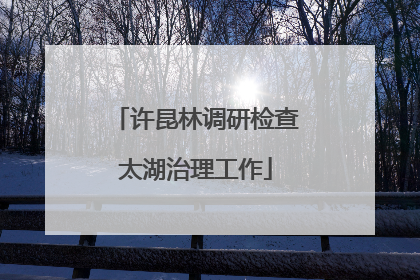 许昆林调研检查太湖治理工作