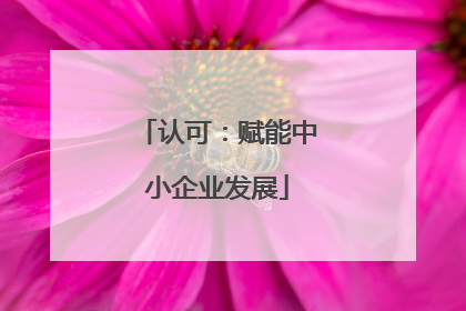 认可：赋能中小企业发展