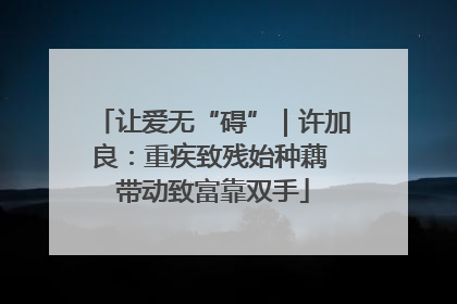 让爱无“碍”｜许加良：重疾致残始种藕 带动致富靠双手