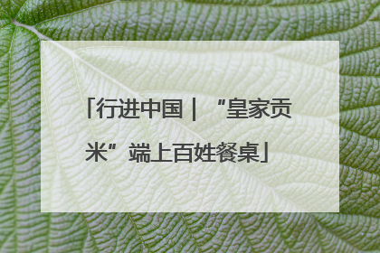 行进中国｜“皇家贡米”端上百姓餐桌