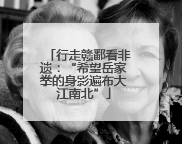 行走赣鄱看非遗：“希望岳家拳的身影遍布大江南北”