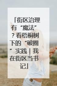 街区治理有“魔法”？看梧桐树下的“破圈”实践｜我在街区当书记