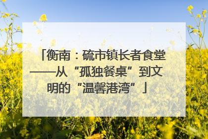 衡南：硫市镇长者食堂——从“孤独餐桌”到文明的“温馨港湾”