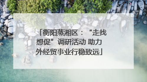 衡阳蒸湘区：“走找想促”调研活动 助力外经贸事业行稳致远