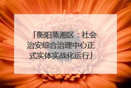 衡阳蒸湘区：社会治安综合治理中心正式实体实战化运行