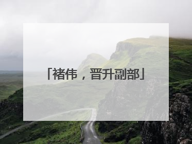 褚伟，晋升副部