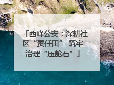 西峰公安：深耕社区“责任田” 筑牢治理“压舱石”