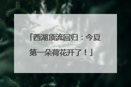 西湖顶流回归：今夏第一朵荷花开了！