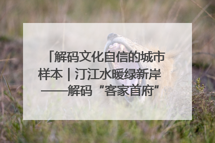 解码文化自信的城市样本｜汀江水暖绿新岸——解码“客家首府”长汀的文化自信样本