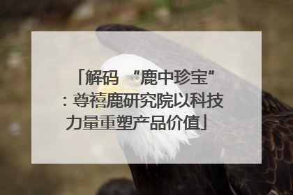 解码 “鹿中珍宝”：尊禧鹿研究院以科技力量重塑产品价值