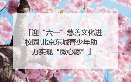 迎“六一”慈善文化进校园 北京东城青少年助力实现“微心愿”