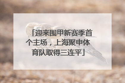 迎来围甲新赛季首个主场，上海聚申体育队取得三连平
