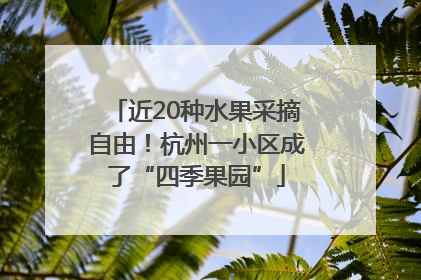 近20种水果采摘自由！杭州一小区成了“四季果园”