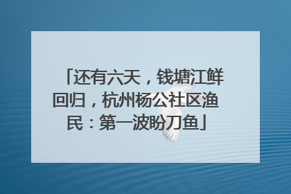 还有六天，钱塘江鲜回归，杭州杨公社区渔民：第一波盼刀鱼