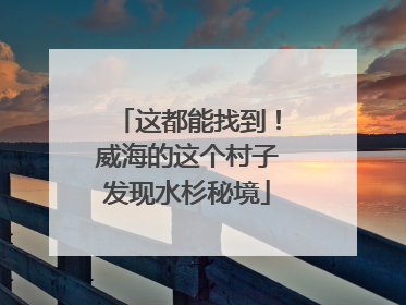 这都能找到！威海的这个村子发现水杉秘境
