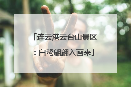 连云港云台山景区：白鹭翩翩入画来