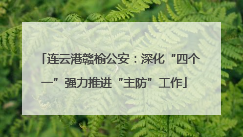 连云港赣榆公安：深化“四个一”强力推进“主防”工作