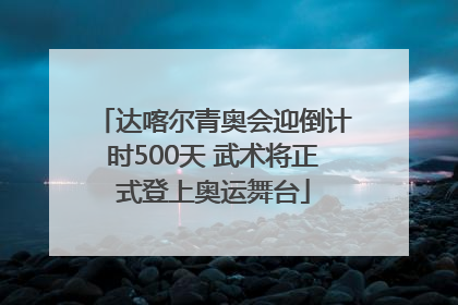 达喀尔青奥会迎倒计时500天 武术将正式登上奥运舞台
