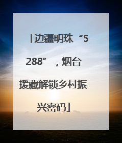 边疆明珠“5288”，烟台援藏解锁乡村振兴密码