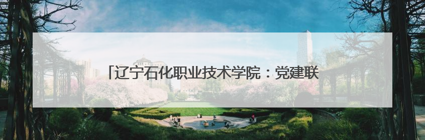 辽宁石化职业技术学院：党建联学共建，政行园企校协同育人