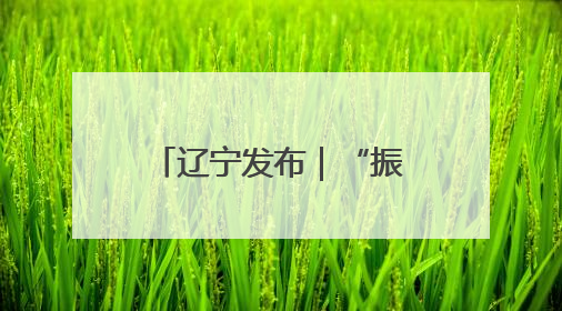 辽宁发布｜“振兴新突破 决胜勇争先”铁岭市坚持“项目为王”推进经济高质量发展