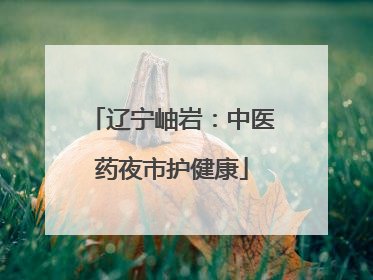 辽宁岫岩：中医药夜市护健康