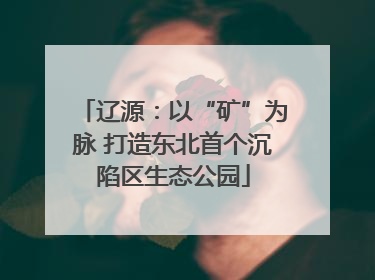 辽源：以“矿”为脉 打造东北首个沉陷区生态公园