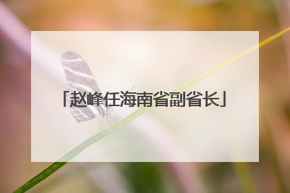 赵峰任海南省副省长