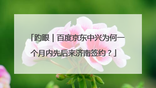 趵眼｜百度京东中兴为何一个月内先后来济南签约？