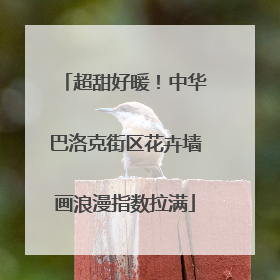 超甜好暖！中华巴洛克街区花卉墙画浪漫指数拉满
