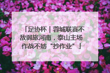 足协杯｜蓉城联赛不敌弱旅河南，泰山主场作战不妨“抄作业”