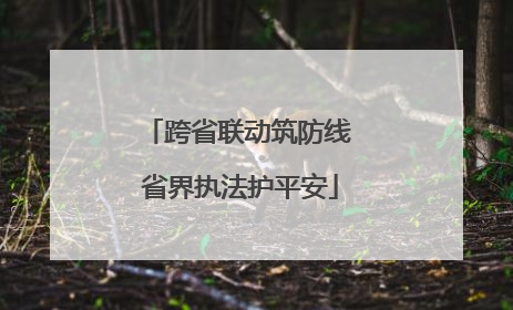 跨省联动筑防线 省界执法护平安