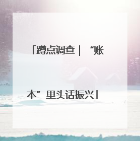 蹲点调查｜“账本”里头话振兴