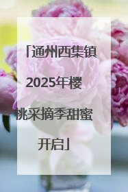 通州西集镇2025年樱桃采摘季甜蜜开启