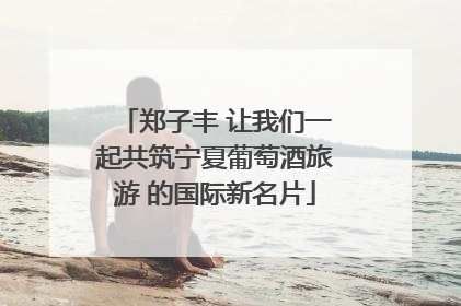 郑子丰 让我们一起共筑宁夏葡萄酒旅游 的国际新名片