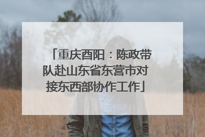 重庆酉阳：陈政带队赴山东省东营市对接东西部协作工作