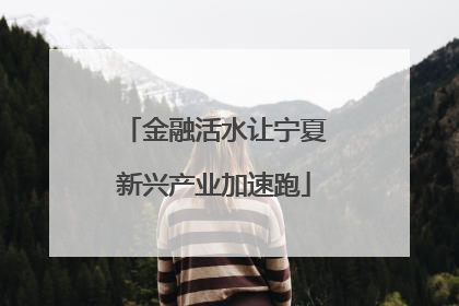 金融活水让宁夏新兴产业加速跑