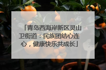 青岛西海岸新区灵山卫街道：民族团结心连心，健康快乐共成长