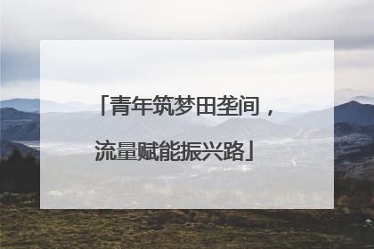 青年筑梦田垄间，流量赋能振兴路