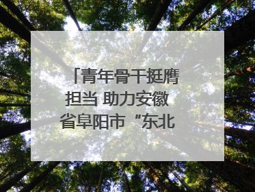 青年骨干挺膺担当 助力安徽省阜阳市“东北大外环”建设