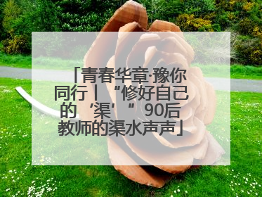 青春华章·豫你同行丨“修好自己的‘渠’”90后教师的渠水声声