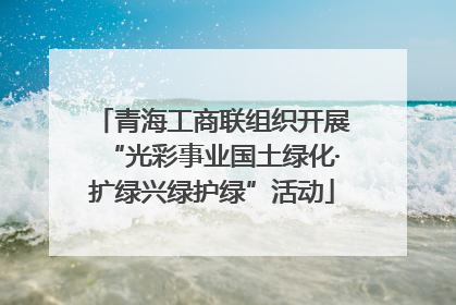 青海工商联组织开展“光彩事业国土绿化·扩绿兴绿护绿”活动