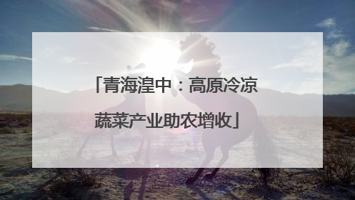 青海湟中：高原冷凉蔬菜产业助农增收