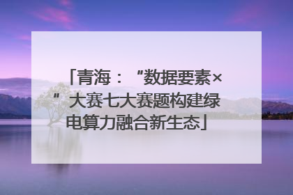 青海：“数据要素×”大赛七大赛题构建绿电算力融合新生态