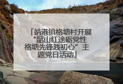 靖港镇格塘村开展“韶山红途砺党性 格塘先锋践初心”主题党日活动