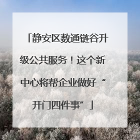 静安区数通链谷升级公共服务！这个新中心将帮企业做好“开门四件事”
