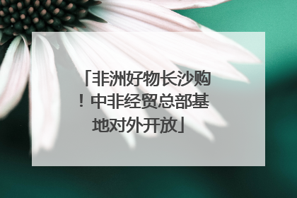 非洲好物长沙购！中非经贸总部基地对外开放