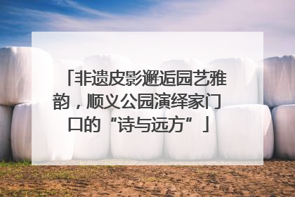 非遗皮影邂逅园艺雅韵，顺义公园演绎家门口的“诗与远方”